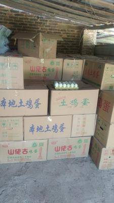 紙托綠殼青皮鴨蛋 優(yōu)質食用農(nóng)產(chǎn)品的批發(fā)優(yōu)選