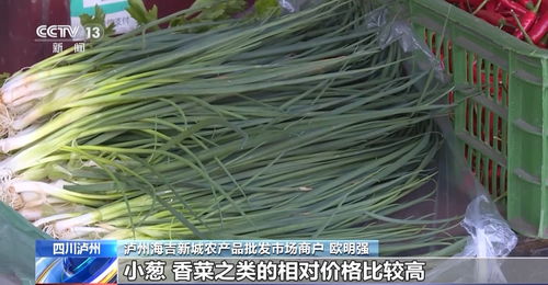 高溫炙烤下的民生守護 四川多地延期開學，全力保障農產品供應