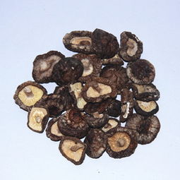 廠家直銷，正宗慶元小香菇 食用菌干貨批發新選擇